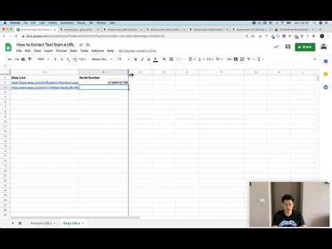 URL Text Extraction Formula Kit — image 3 from the video walkthrough