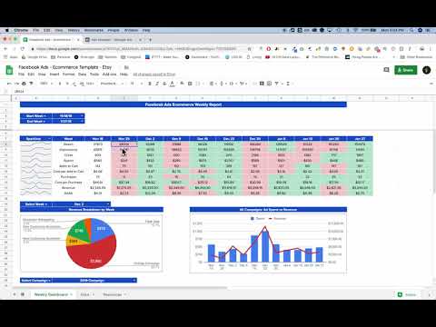 Facebook Ads Ecommerce Dashboard — image 1 from the video walkthrough